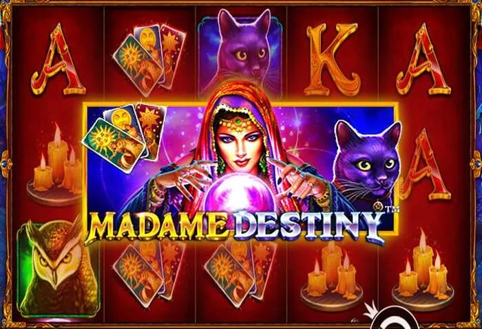 Kolay kayıt adımları ile online casino heyecan verici slot oyunları.